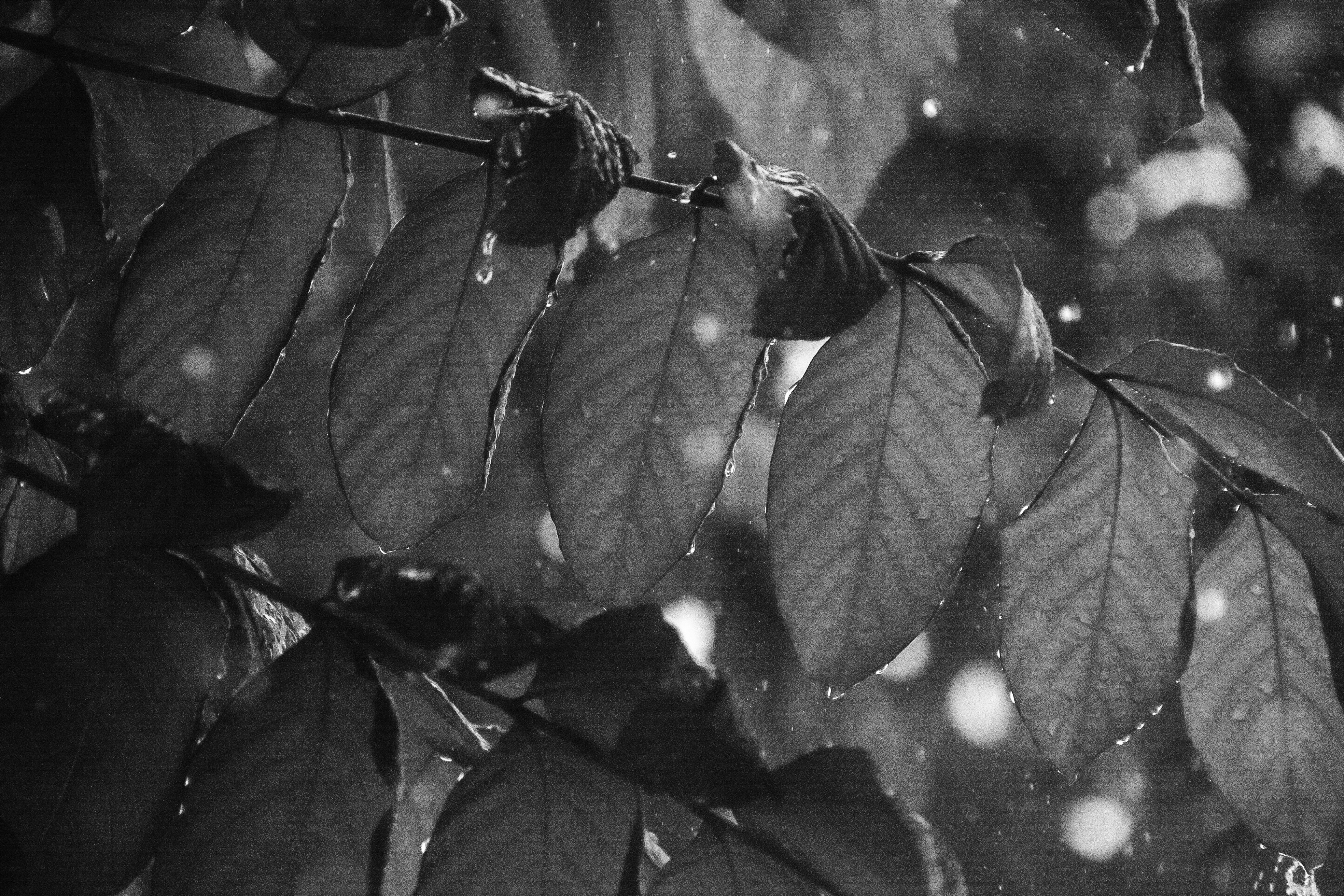 Photo by timesofwander