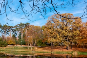 A tranquil park in Banbury during autumn.
