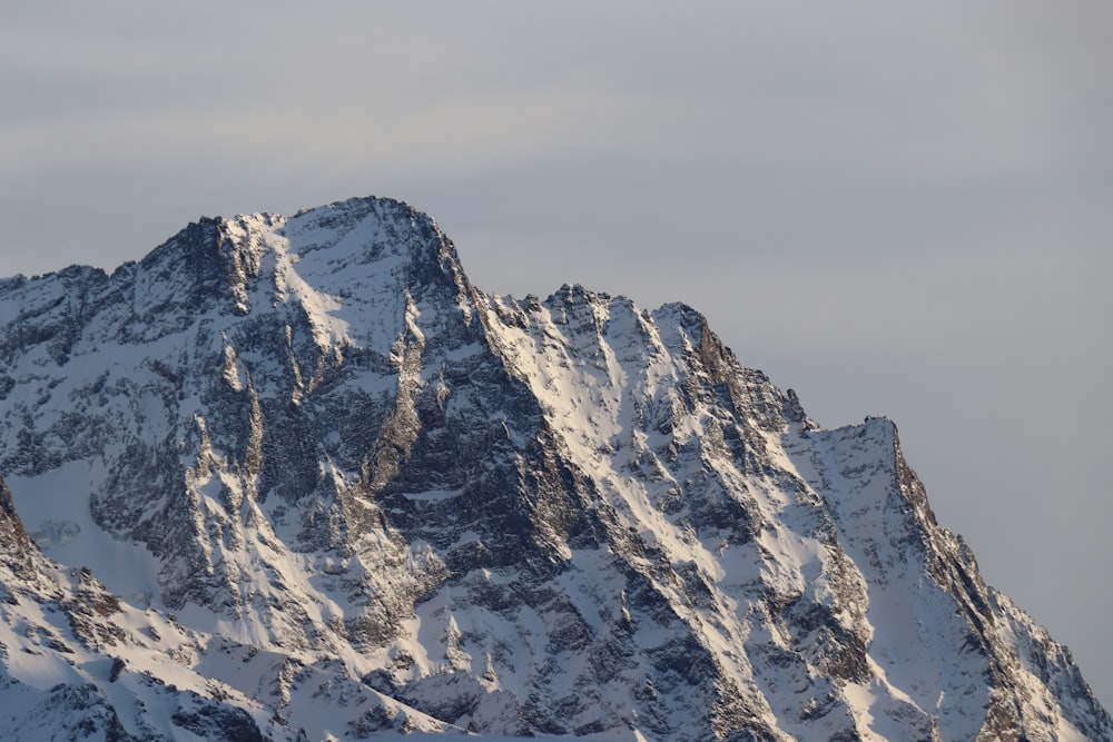 white and grey glacier mountain at daytime