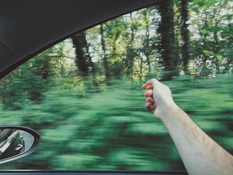 A person's arm is extended out of a car window, creating a sense of freedom and movement as the vehicle drives past a lush, green forest. The blurred trees emphasize the speed of travel, while the car's interior and side mirror are visible, reflecting the trees.