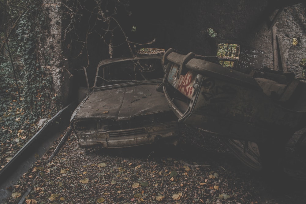 black cars parked near plants