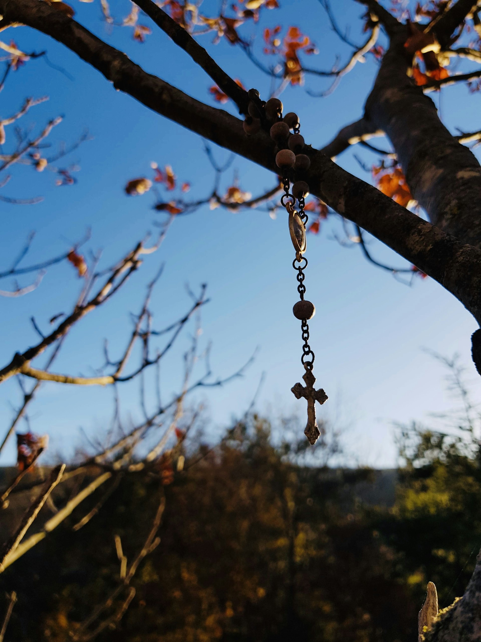gray computer monitor