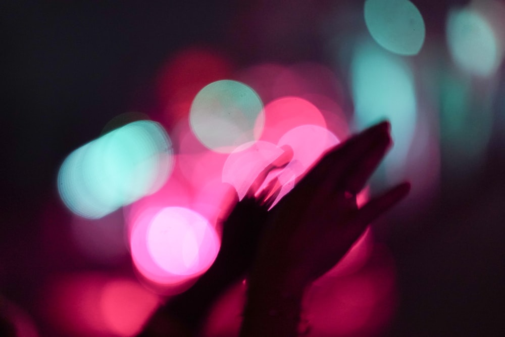 macro photography of hands