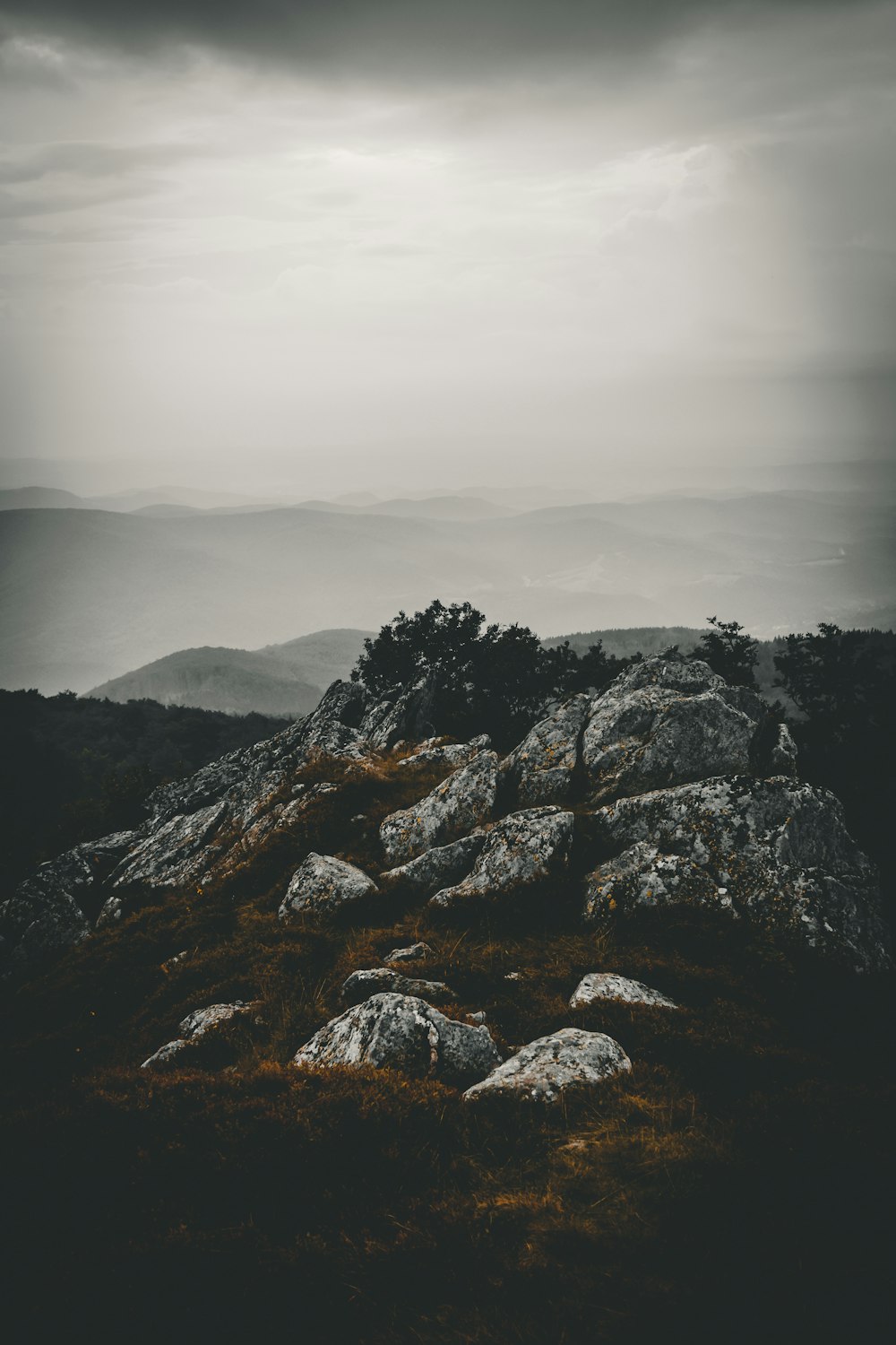 rocks near trees during daytime