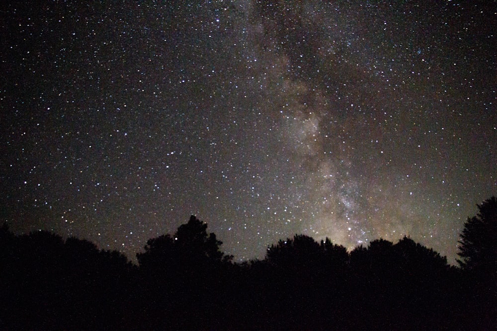 Ciel nocturne de la Voie lactée