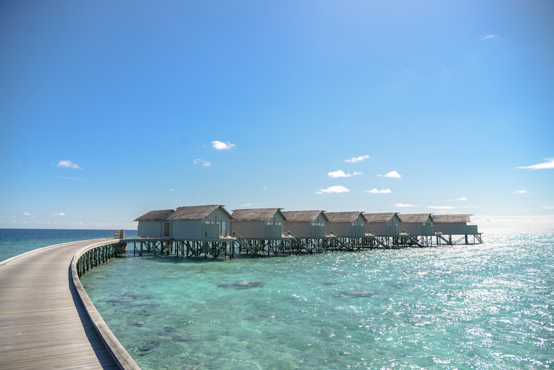 brown wooden boardwalk, MALDIVES