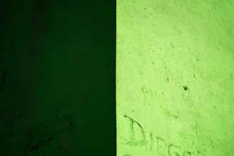 Square image featuring a split-screen layout with the image on the right and a solid green sage color block on the left.