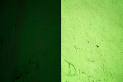 Square image featuring a split-screen layout with the image on the right and a solid green sage color block on the left.