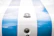 Close-up of a sleek car hood featuring vibrant custom racing stripes under bright sunlight.