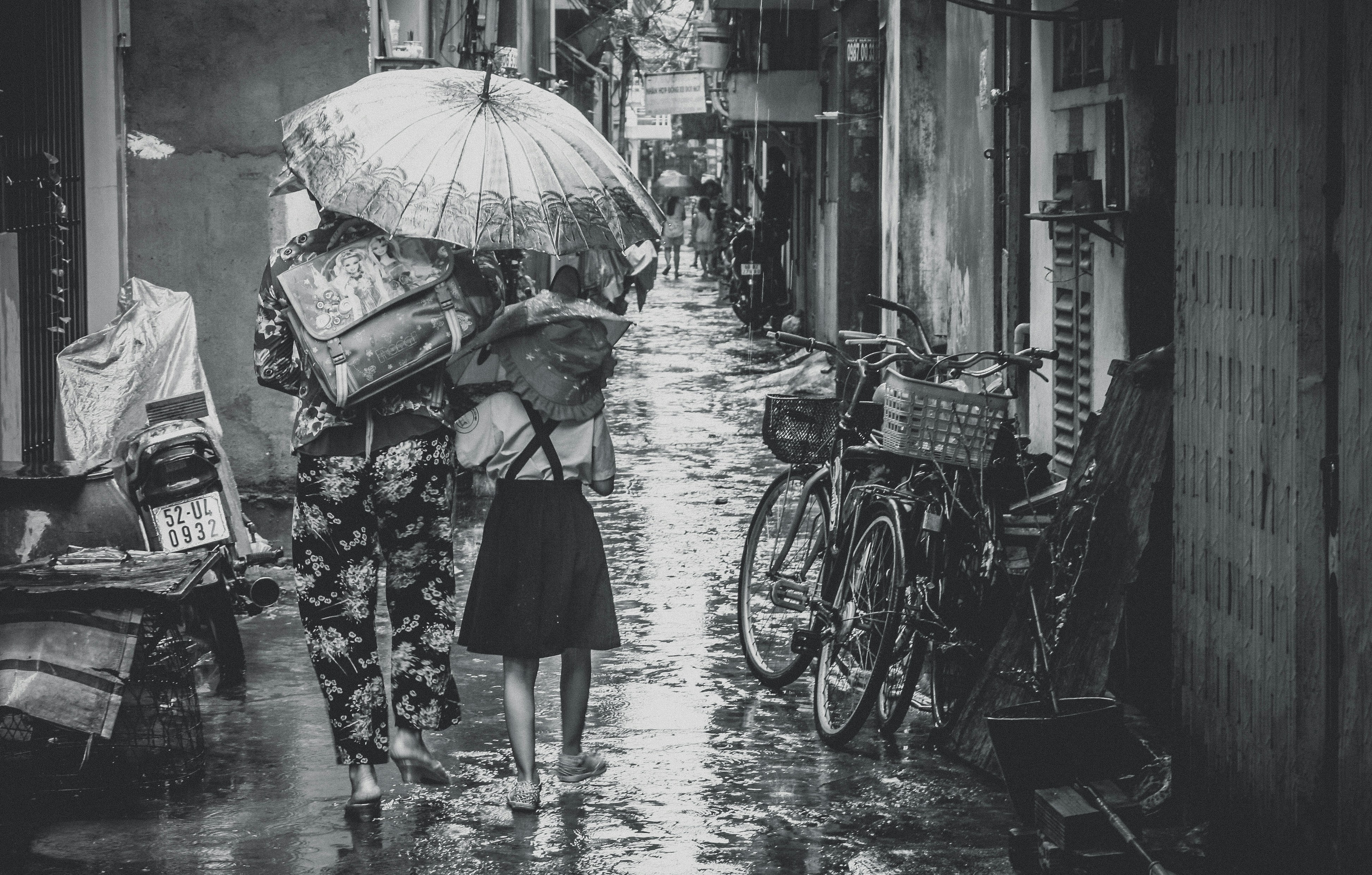 Photo by fujiphilm