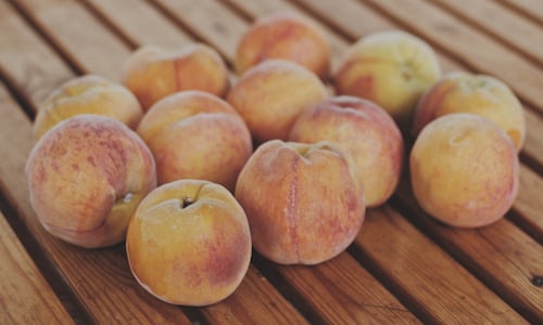 When are peaches poisonous to dogs?