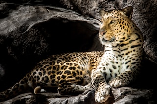 Quotes and Descriptions to Inspire Creative Writing | Discover, Share