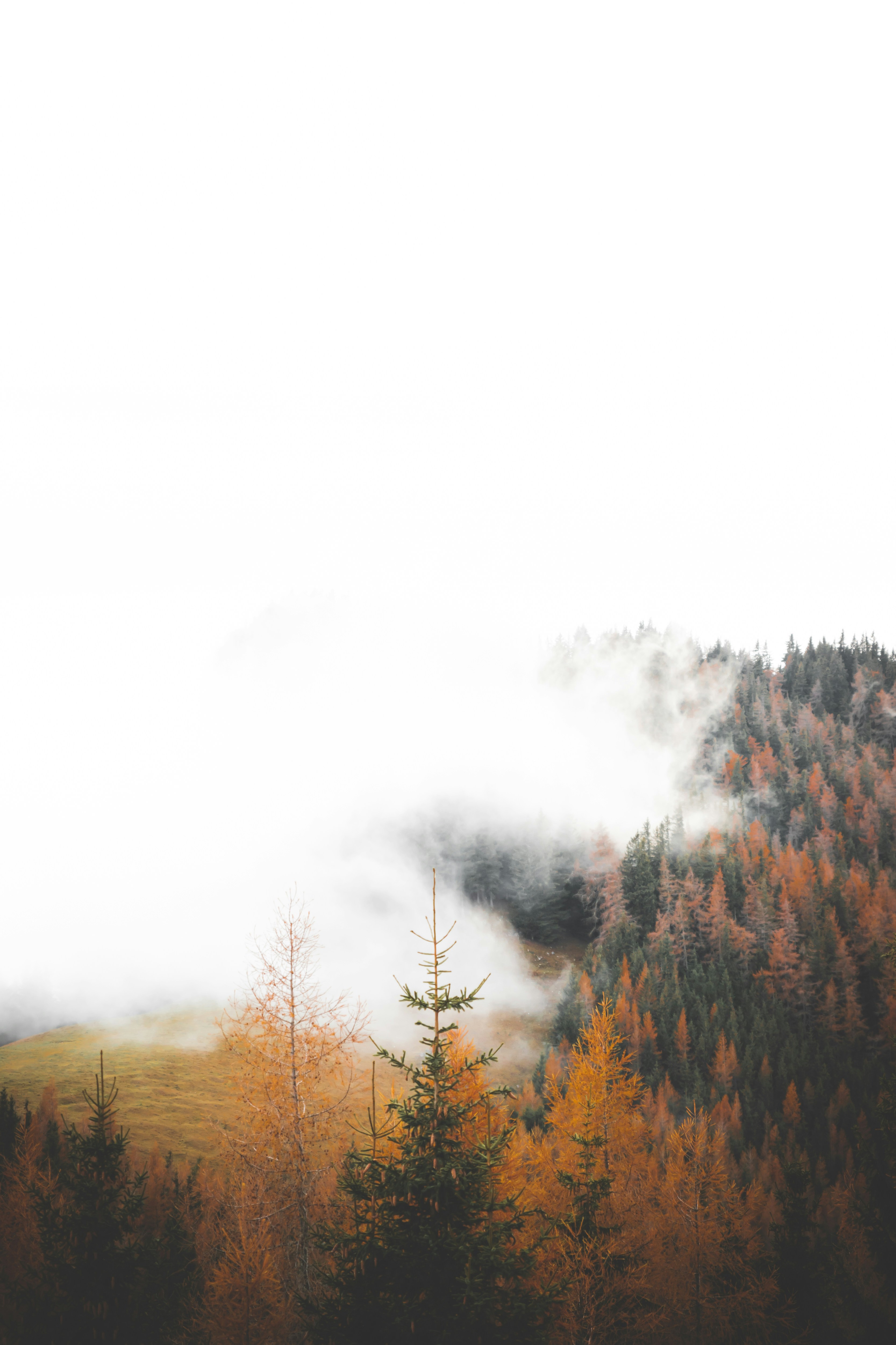 I took this photo on a hike in to the Rote Wand in Austria.