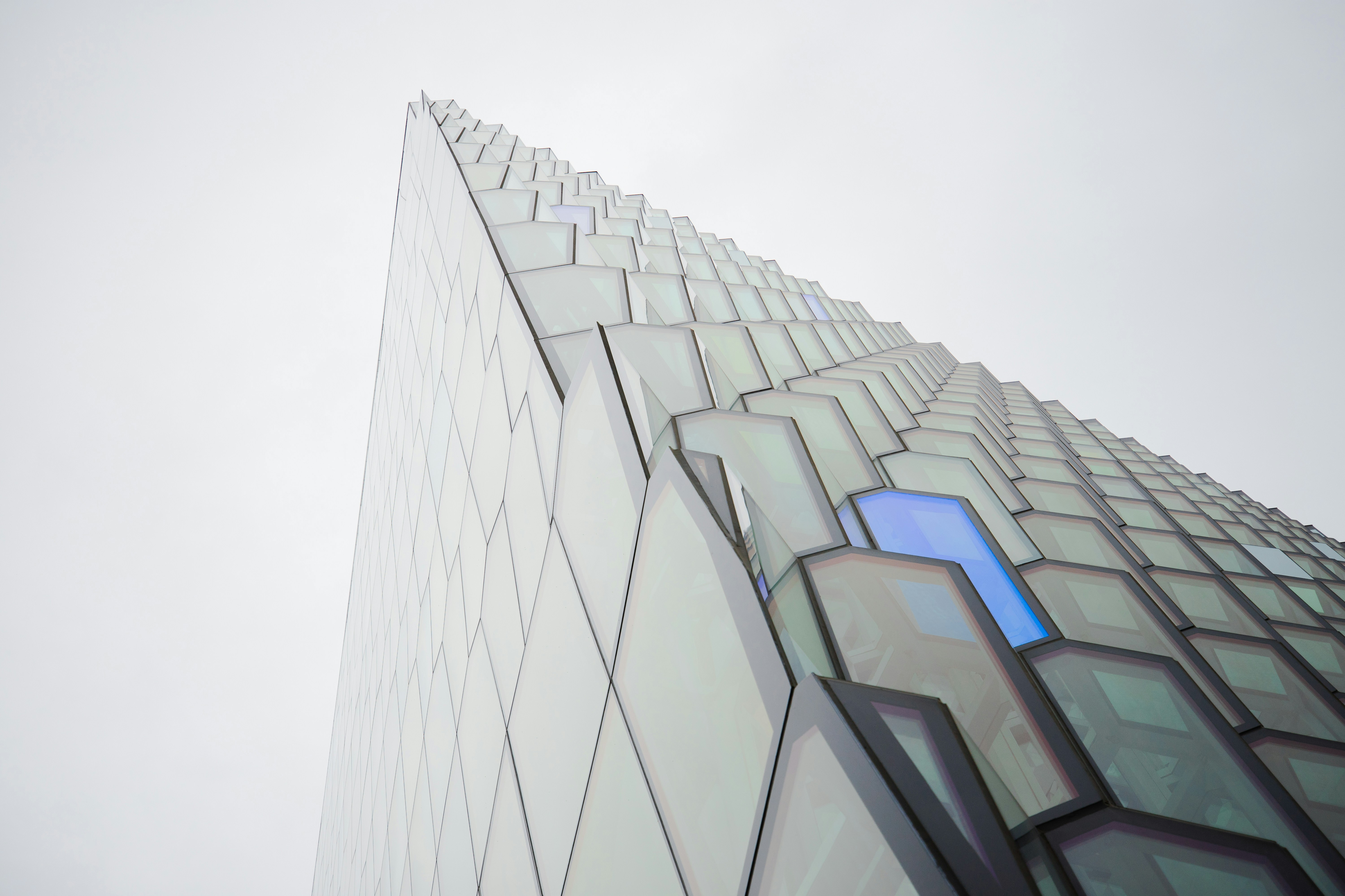 삼전 주식 장기 보유 전략이 통했던 사례