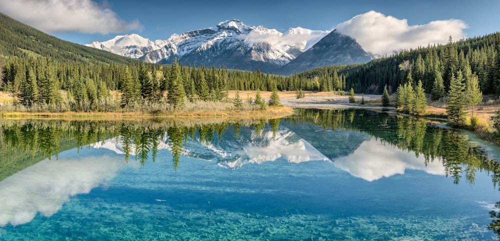 body of water across trees and mountains