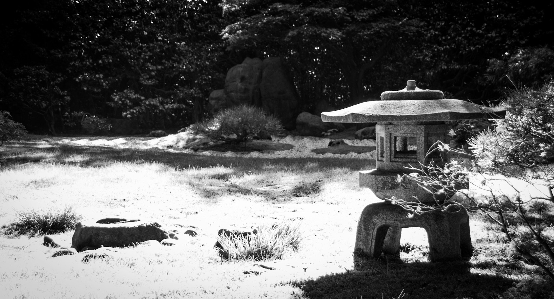 woman wearing yellow long-sleeved dress under white clouds and blue sky during daytime