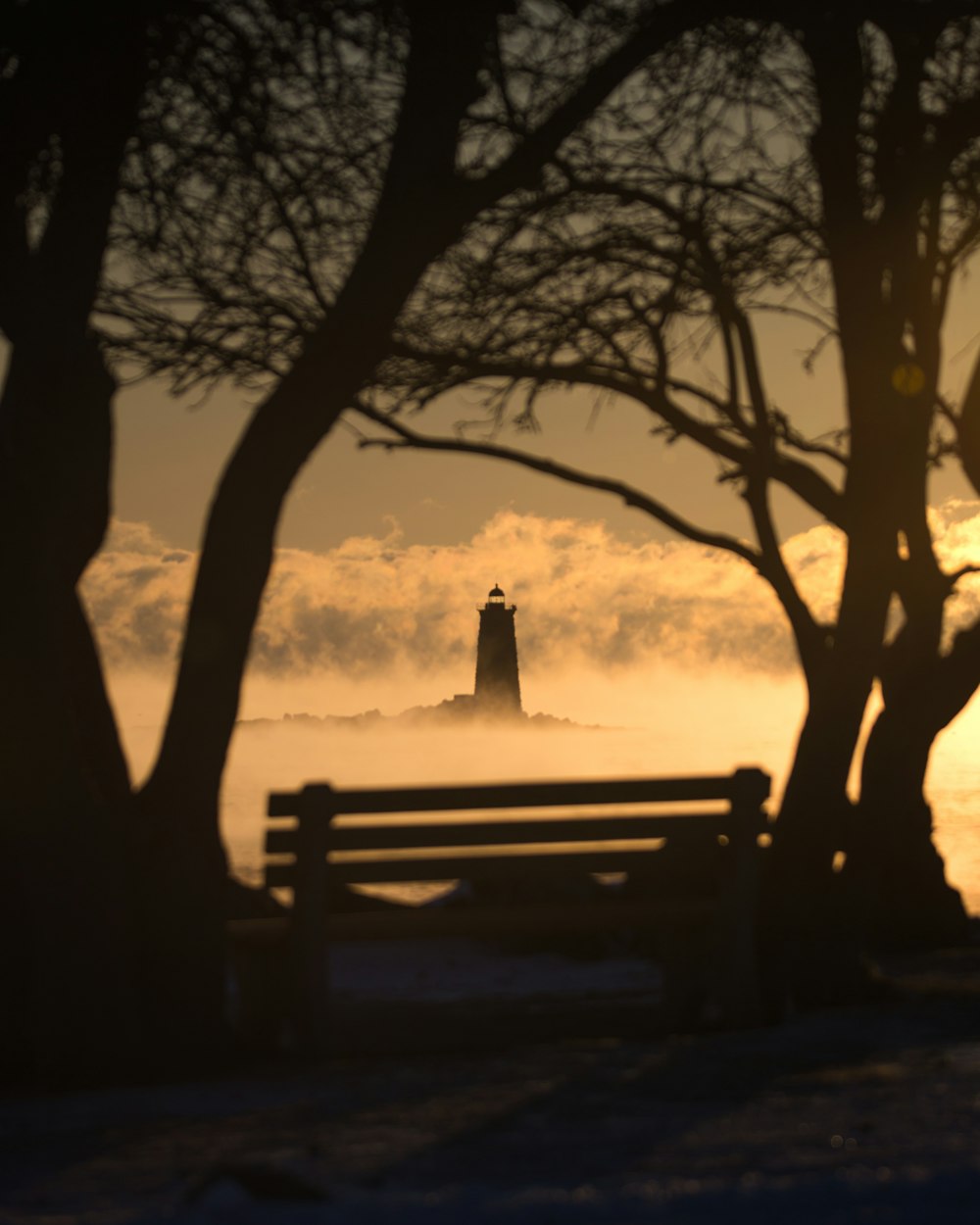 silhouette of trees, bench, and lighthouse