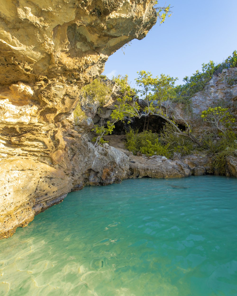 Foto de paisaje de un cuerpo de agua cerca de las plantas