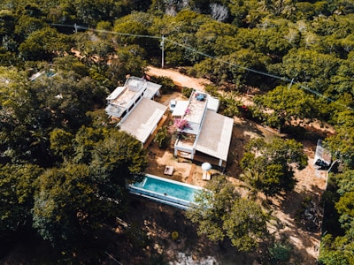 pool surrounded by trees