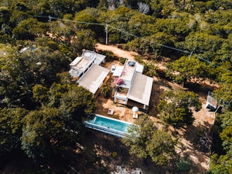 pool surrounded by trees