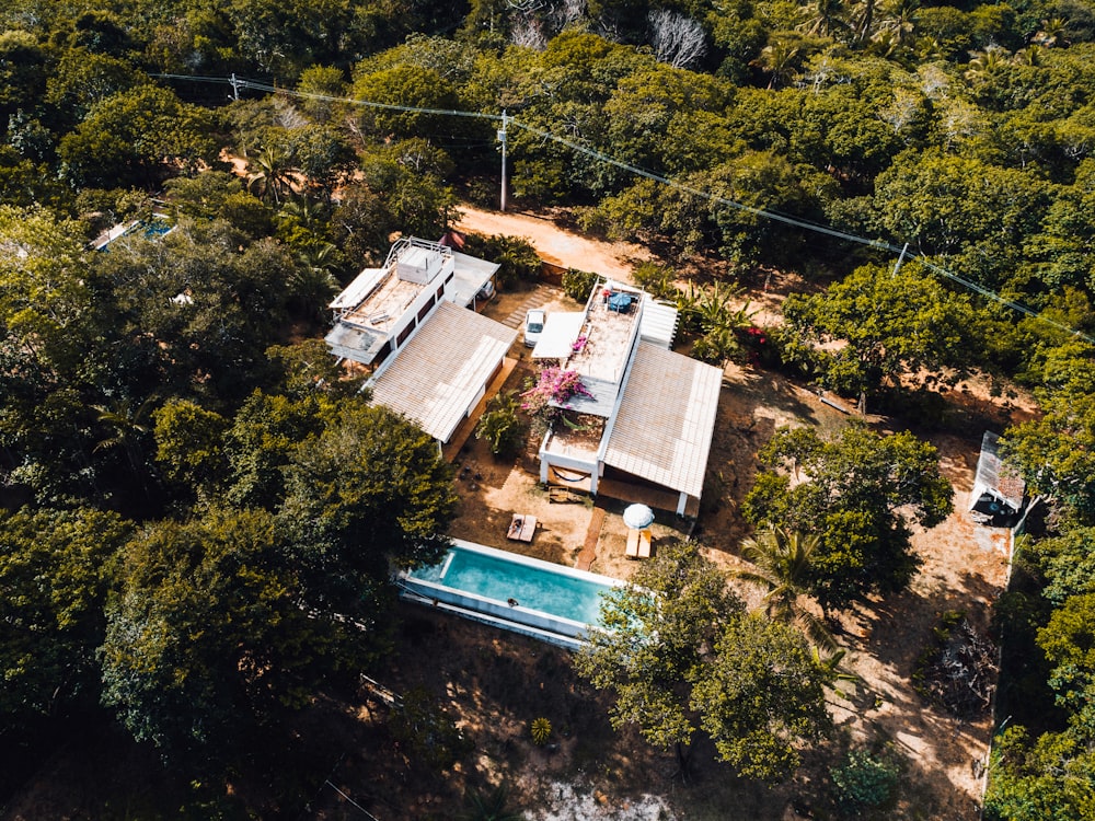 piscina rodeada por árvores