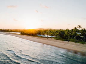 A serene view of Arambol beach at sunset with soft waves and palm trees.