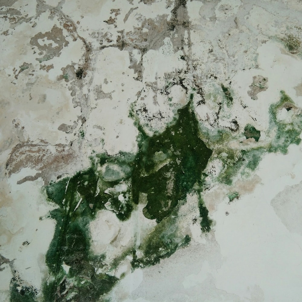 a close up of a green substance on a white surface