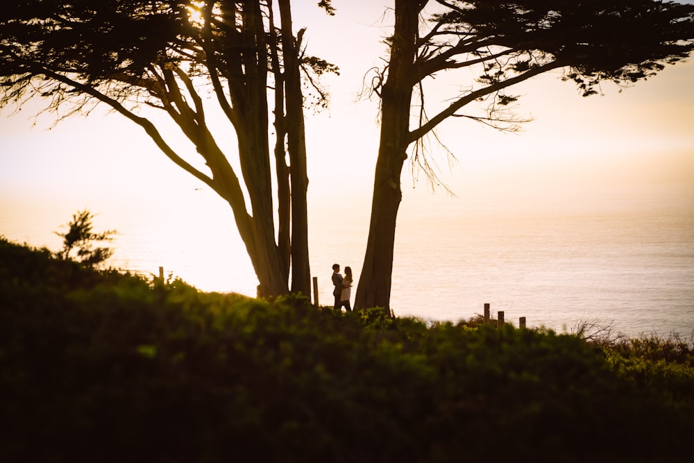 couple between trees