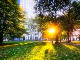 Sunlight filters through dense trees in a park, casting long shadows on the grassy field. A tall, white building with numerous windows looms in the background, framed by lush greenery. Park benches and a lamppost are scattered throughout, adding a peaceful urban touch.