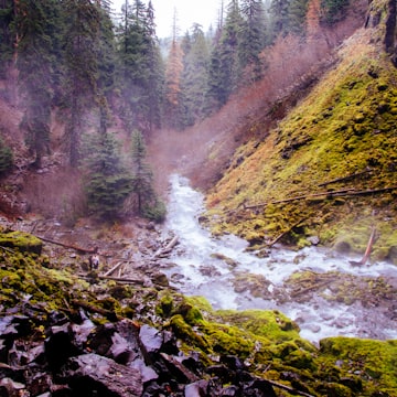 Cover Image for November Happy Hour