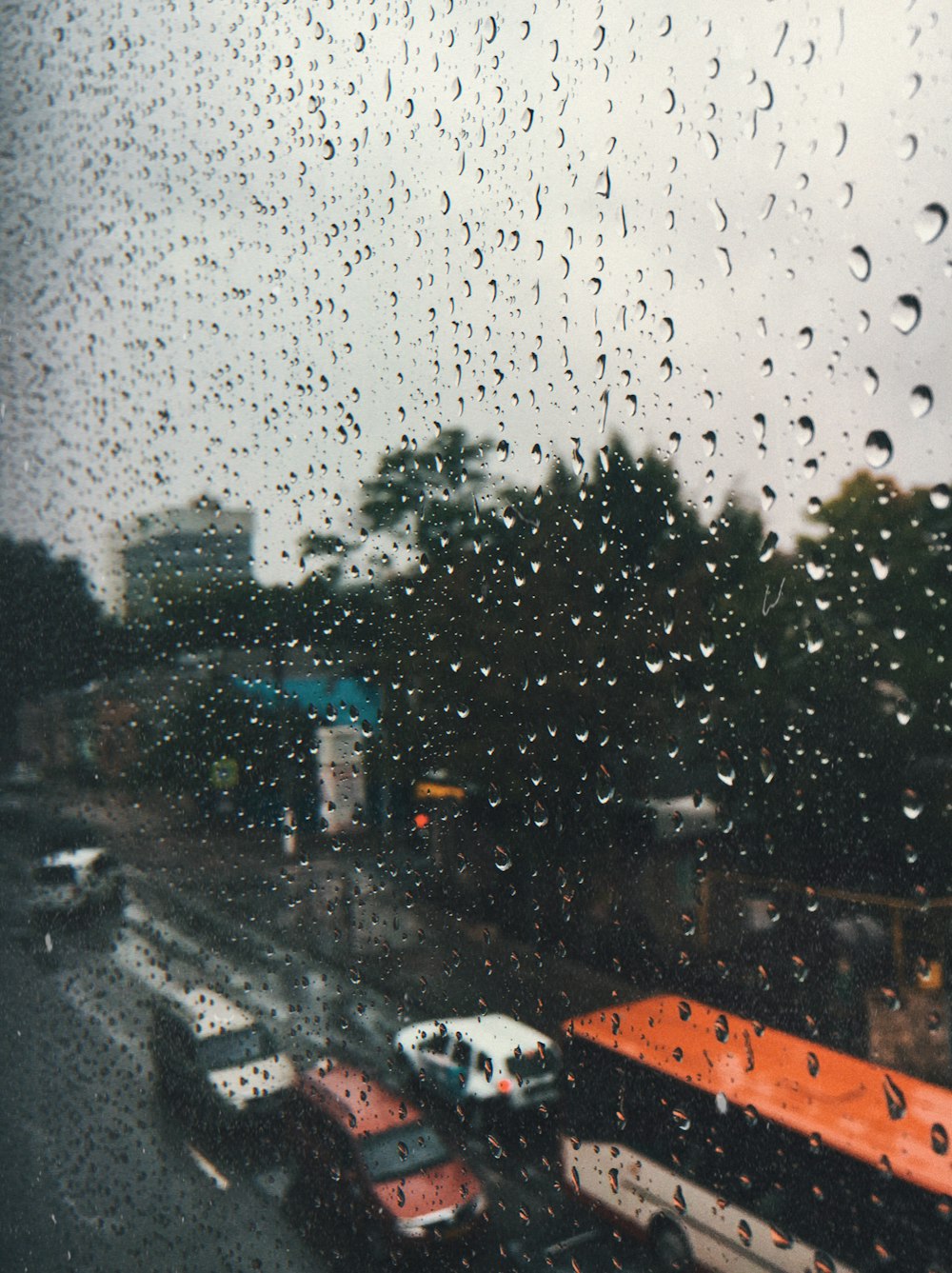 SUVs and bus traveling on street during rain