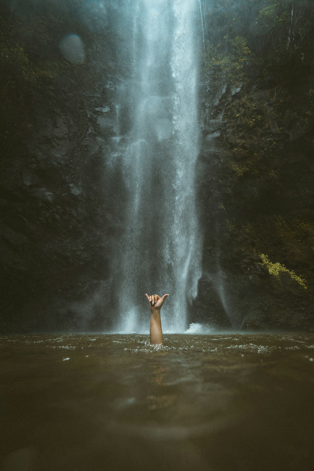 Cascadas junto a los árboles