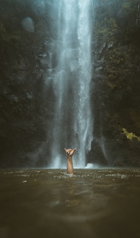 waterfalls beside trees