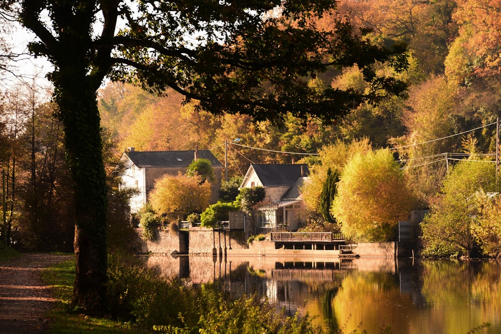 house near lake during day