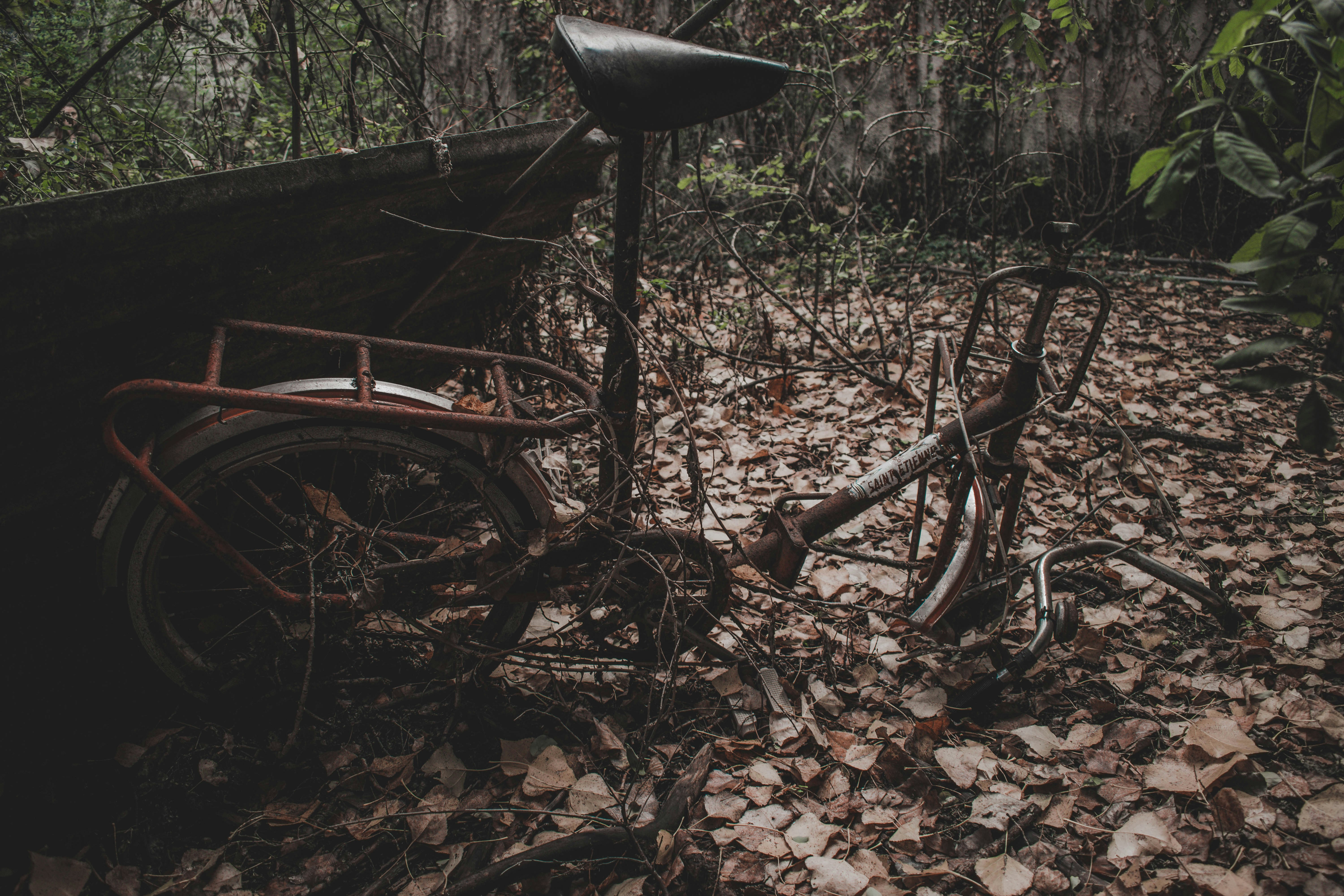 black and gray bike surrounded by trees