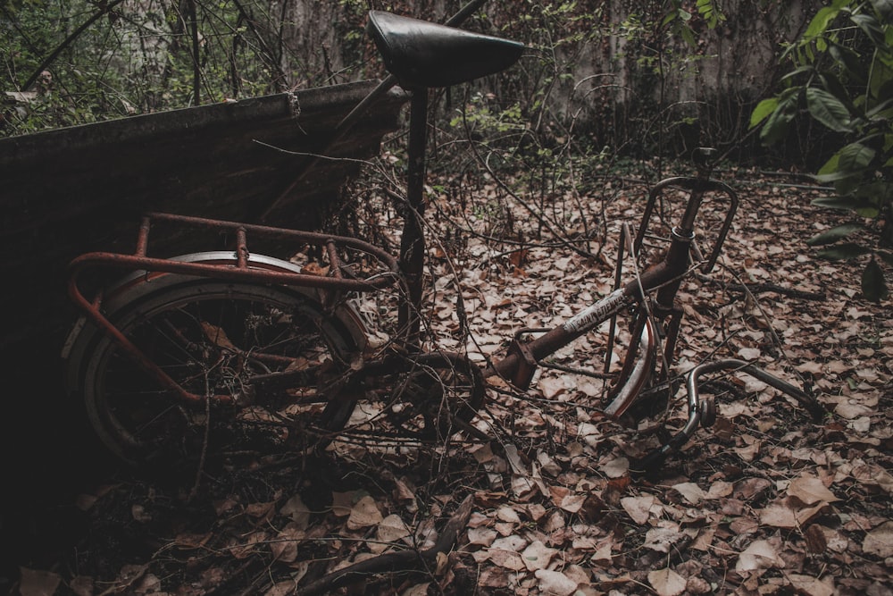 black and gray bike surrounded by trees