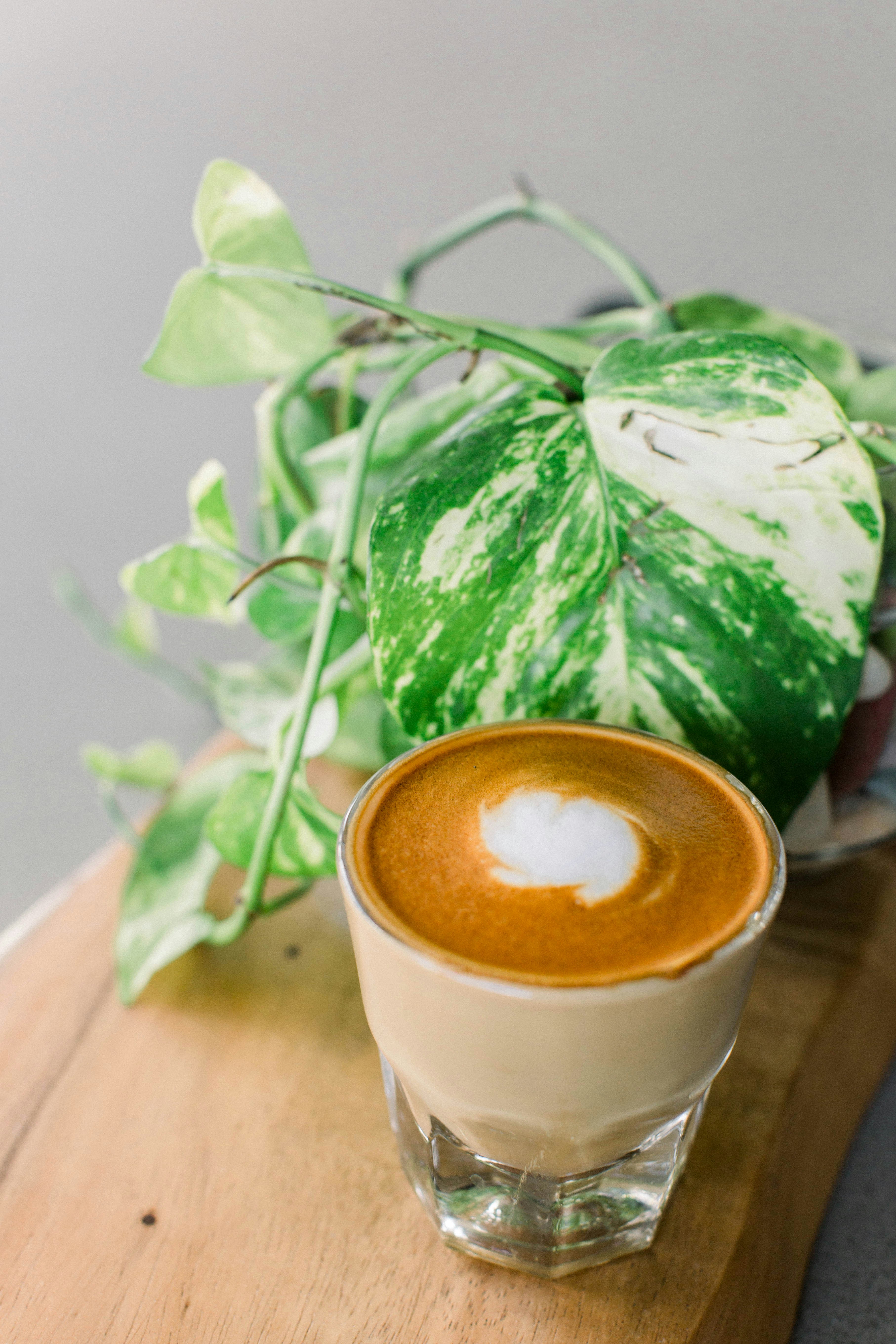 pumpkin latte