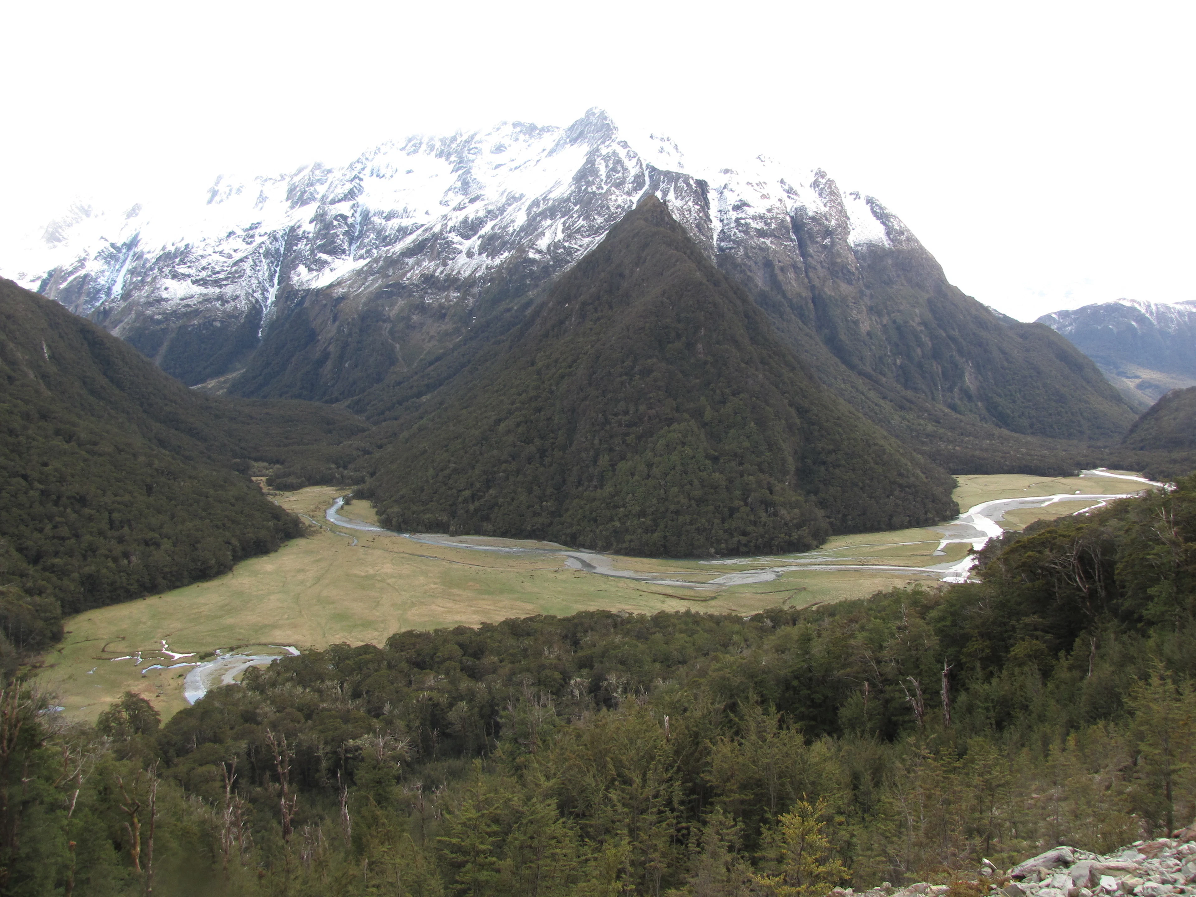 The view from the Routeburn Track over a broad river flat ringed by forested mountains and snowy peaks