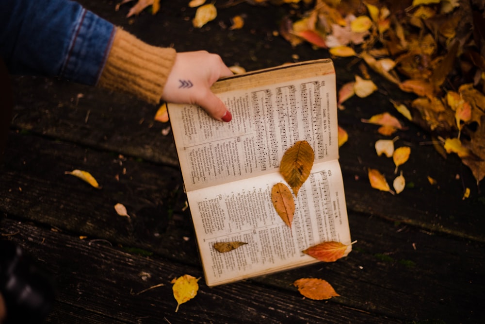 person holding book on black wooden plank