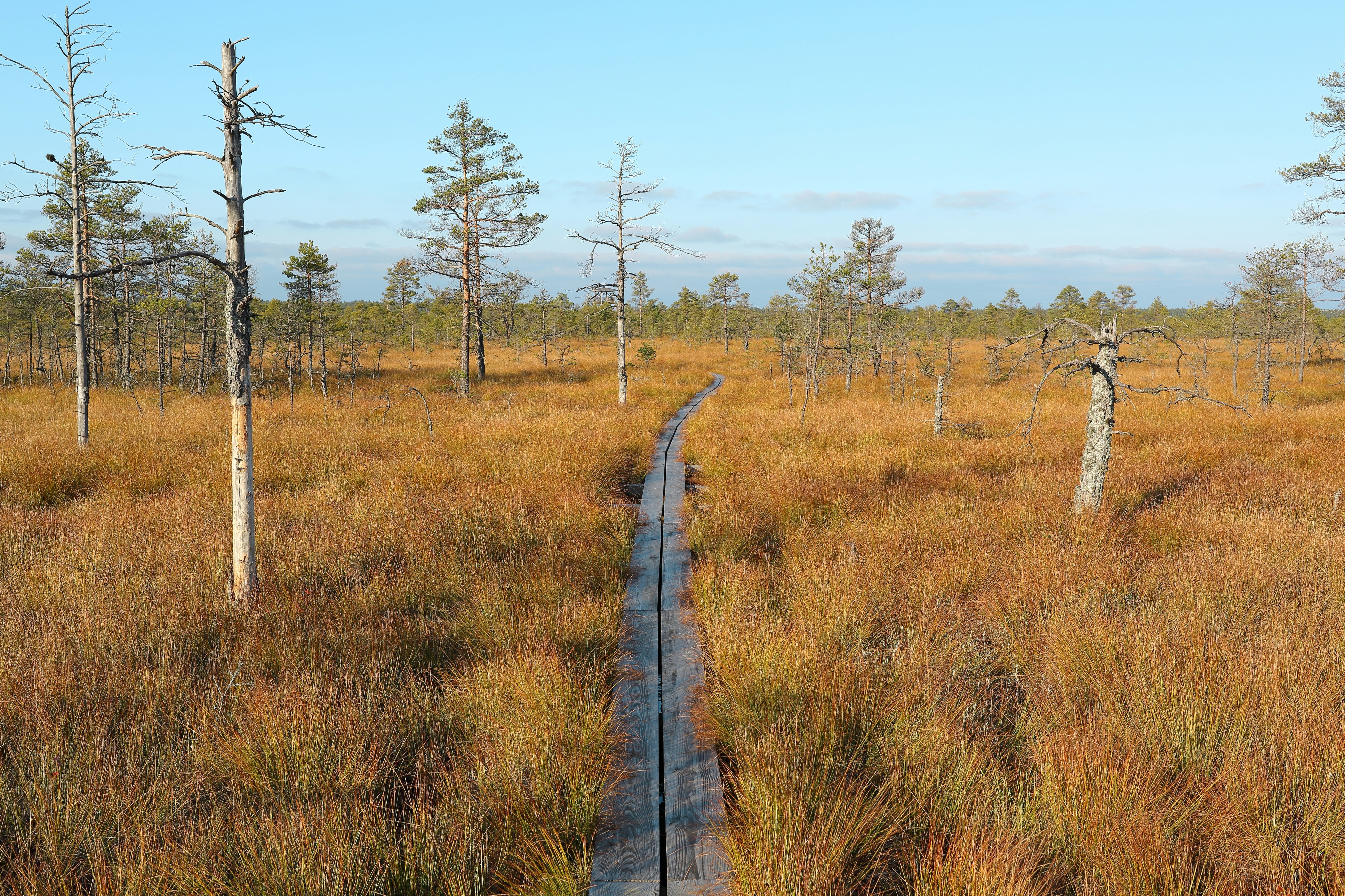 Photo by maksimshutov