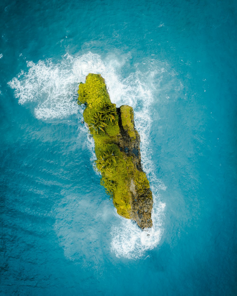 Ilha verde cercada por corpo de água