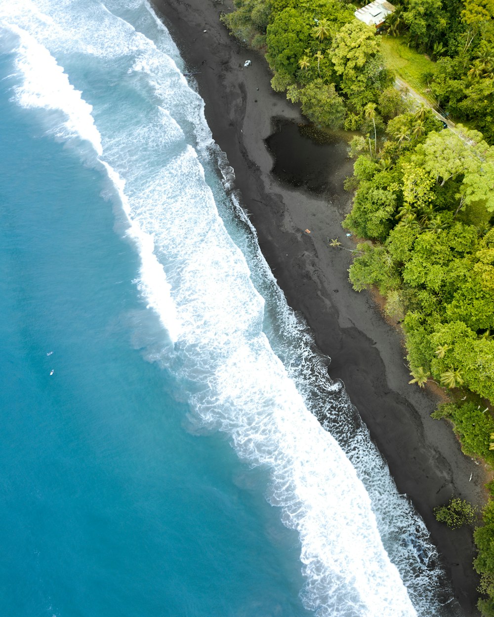 aerial photo of beach during daytime