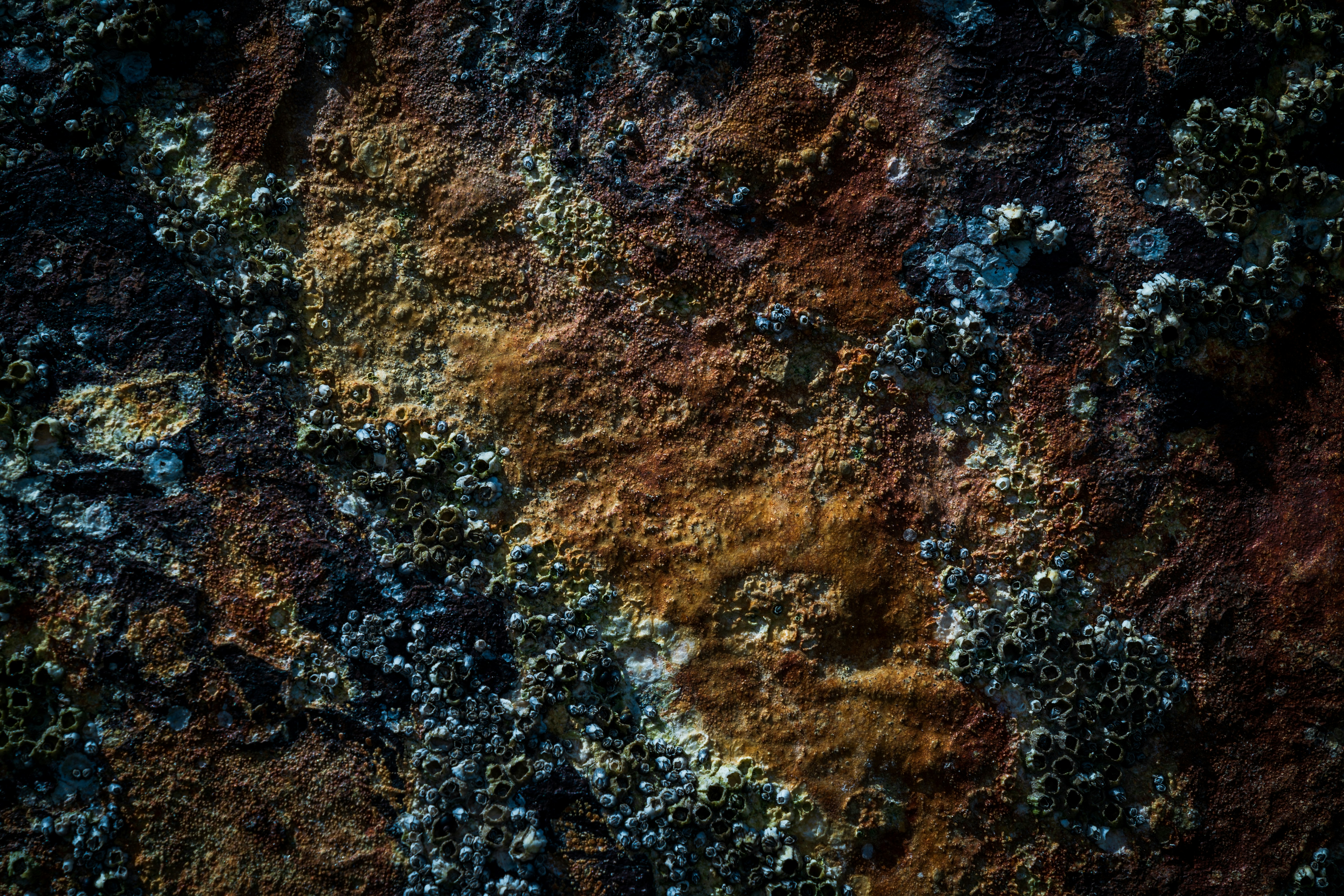 This year we went on an endless summer adventure. We got an RV and drove up the California and Oregon Coast, all the way to Vancouver Island. It was quality family and leisure time. Along the way, I took photos of the different textures we encountered on the beaches and hiking trails This is a small sample of it. Enjoy!