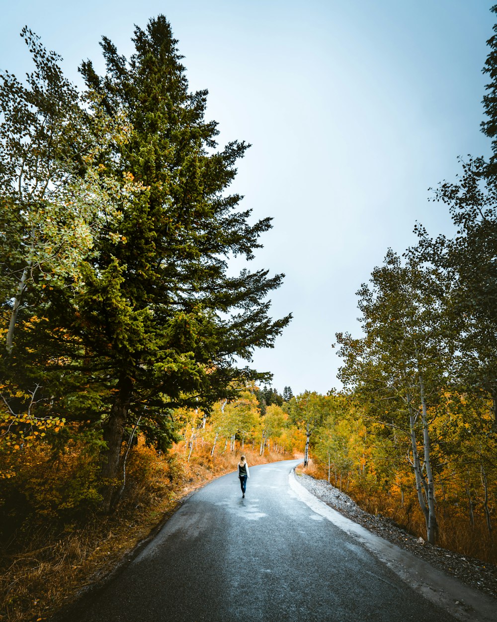 man standing in the middle of road