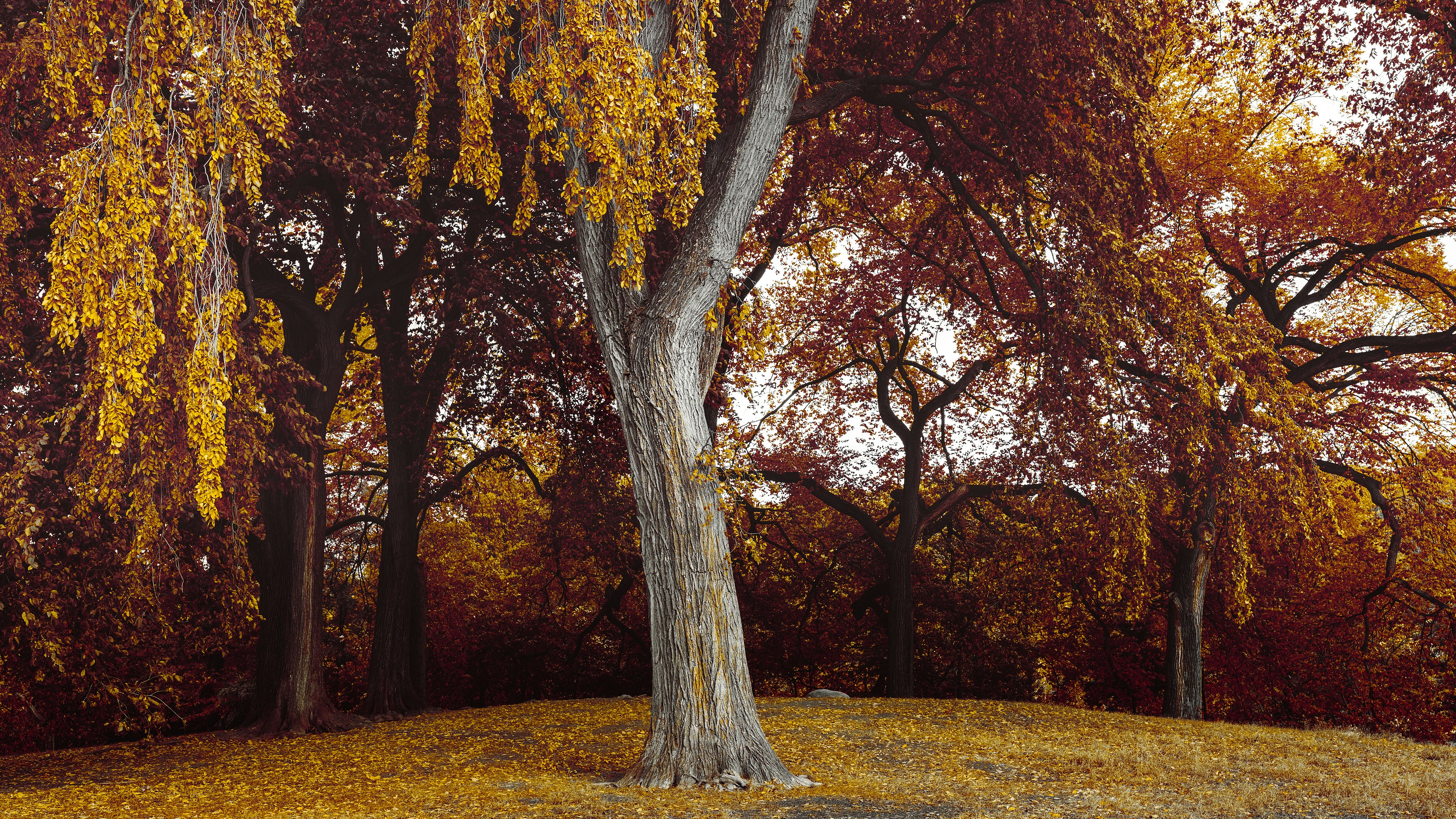 500 Youtube Cover Pictures Download Free Images On Unsplash