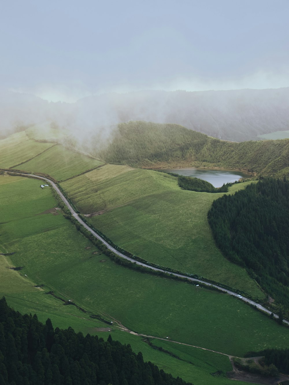 green grass field near lake