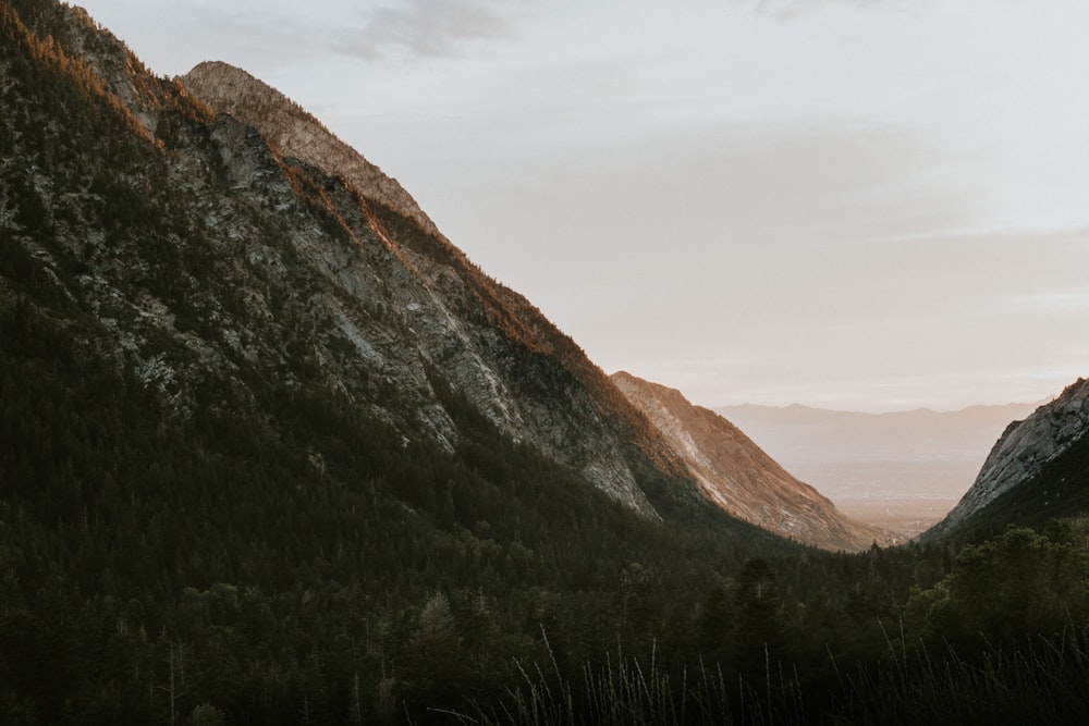 Montagne pendant la journée