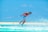man in red tank top doing water sports during daytime