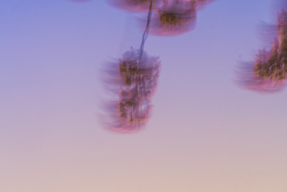 Una foto sfocata di un lampione con alberi sullo sfondo