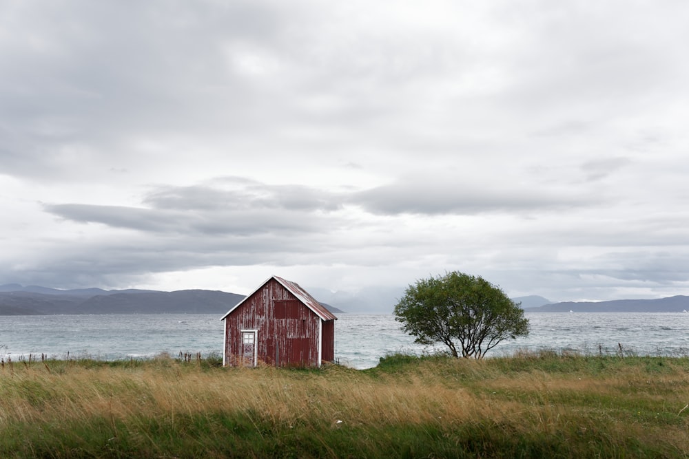 brown wooden barn